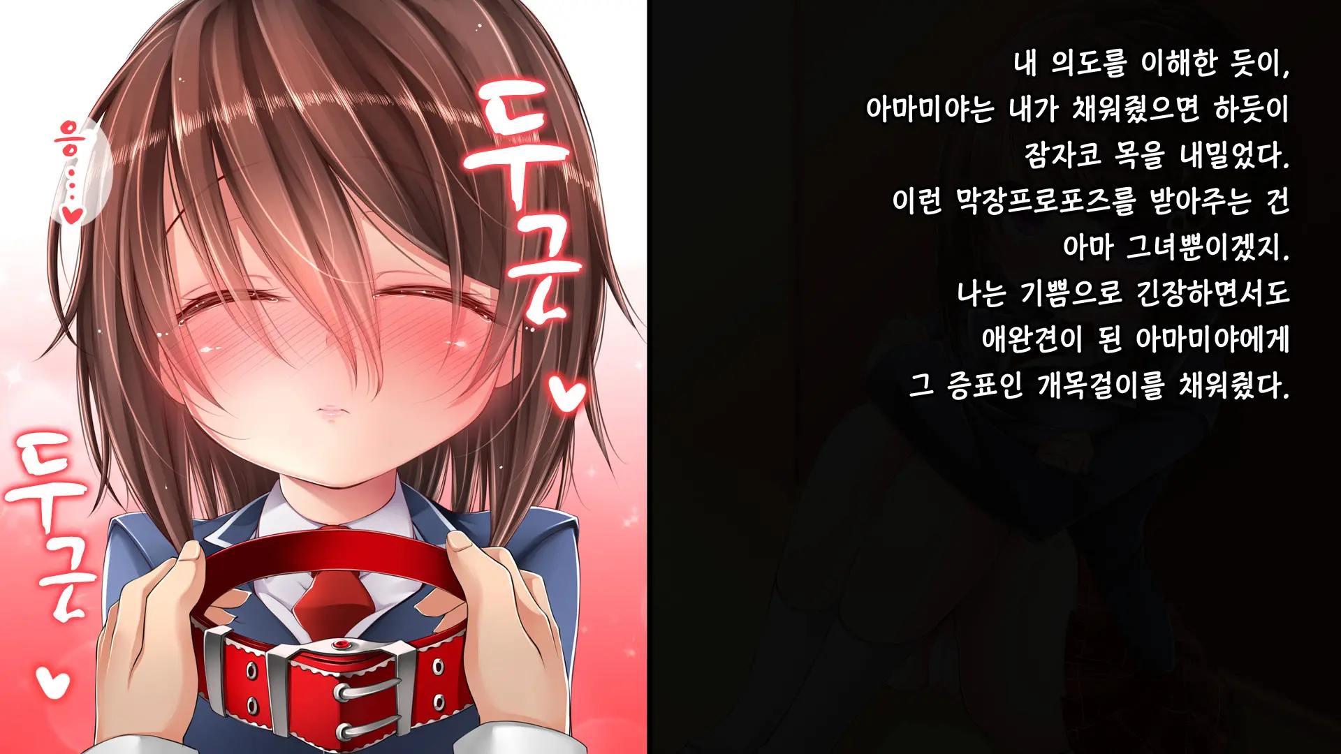 Tadashii Kanojo (Pet) No Kaikata
